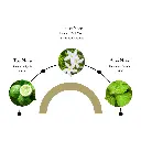 5.webp