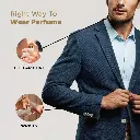7.webp