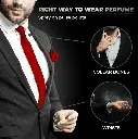 7.webp