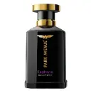 Park Avenue Euphoria, Eau De Parfum Men, 100ml  Long Lasting Perfume for Men  Father's Day Gift for Dad  Premium Luxury Fragrance Scent  Gift for Father's Day  Aromatic Blend of Amber & Musk  Suitable for Every Occ